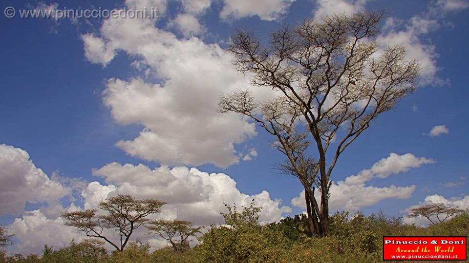 Ethiopia - 789.jpg